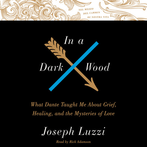 In A Dark Wood, Joseph Luzzi