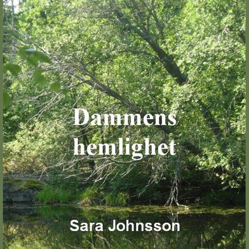 Dammens hemlighet, Sara Johnsson