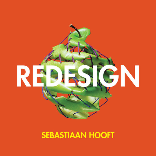 Redesign: Becoming a Happy, Healthy and Successful Entrepreneur, Sebastiaan Hooft