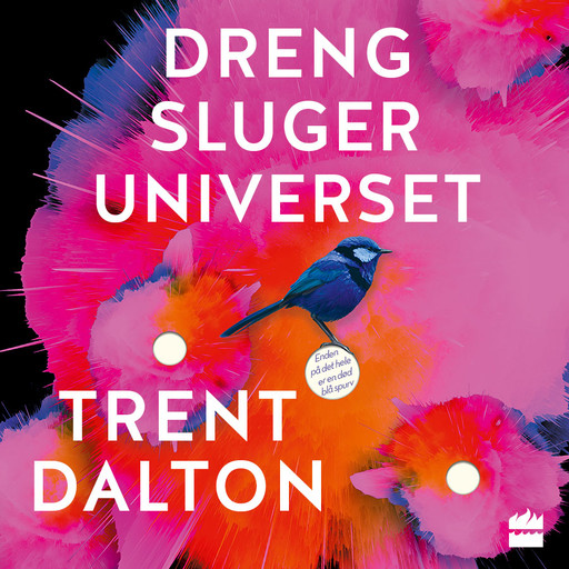 Dreng sluger universet, Trent Dalton