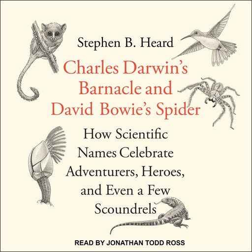 Charles Darwin's Barnacle and David Bowie's Spider, Stephen B. Heard