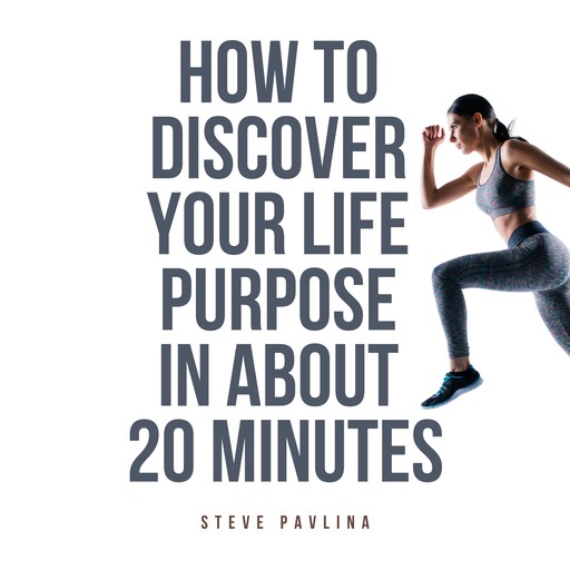 How to Discover Your Life Purpose in About 20 Minutes, Steve Pavlina