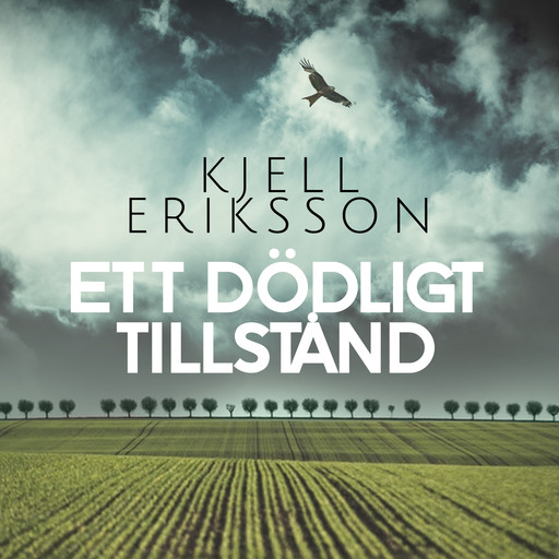 Ett dödligt tillstånd, Kjell Eriksson