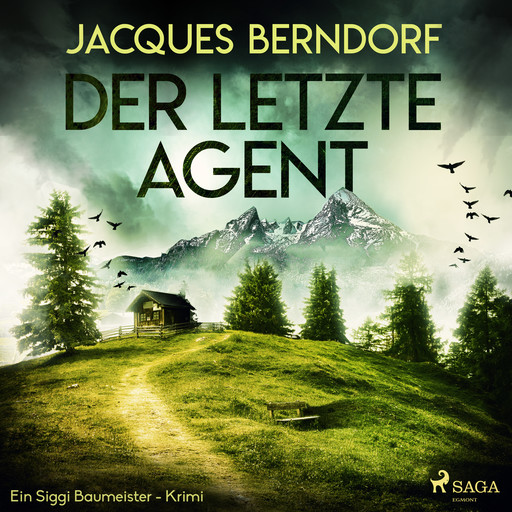 Der letzte Agent - Ein Siggi-Baumeister-Krimi, Jacques Berndorf