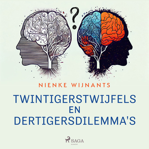 Twintigerstwijfels en dertigersdilemma's, Nienke Wijnants