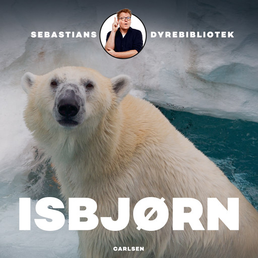 Sebastians dyrebibliotek - Isbjørn, Sebastian Klein