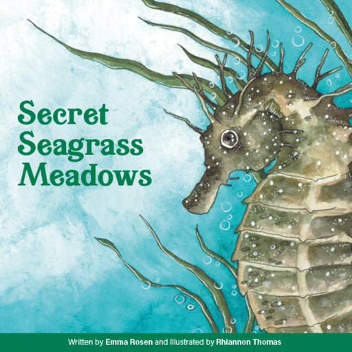 Secret Seagrass Meadows, Emma Rosen