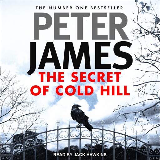 The Secret of Cold Hill, Peter James