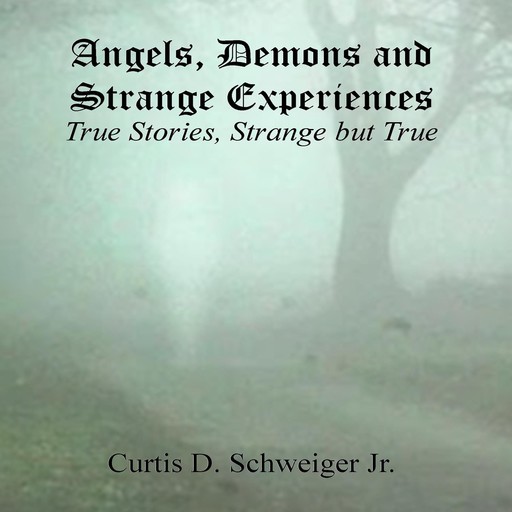 "Angels,Demons, and Strange, Experiences", Curtis Schweiger jr