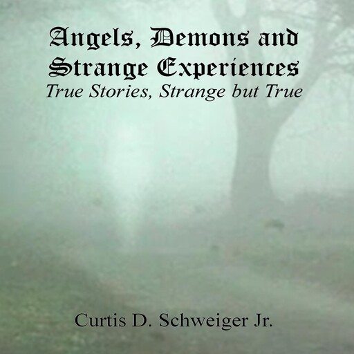"Angels,Demons, and Strange, Experiences", Curtis Schweiger jr