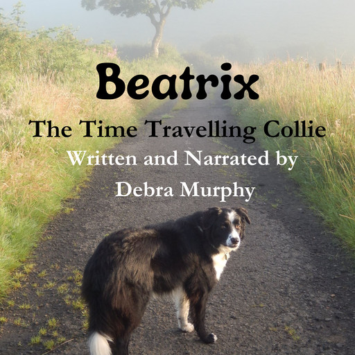 Beatrix The Time Travelling Collie, Debra Murphy