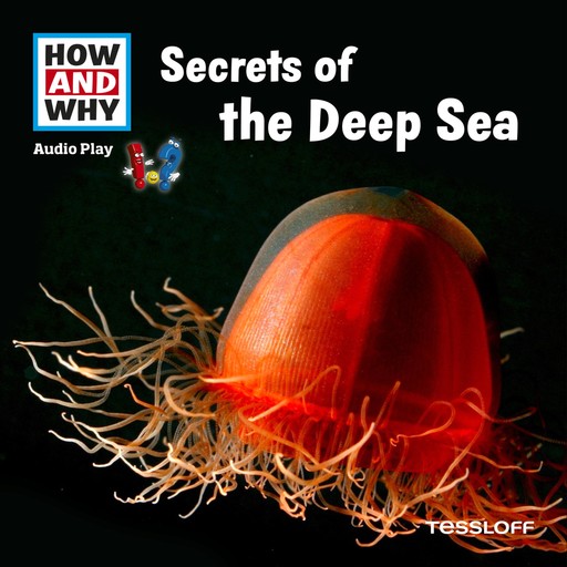 Secrets Of The Deep Sea, Manfred Baur