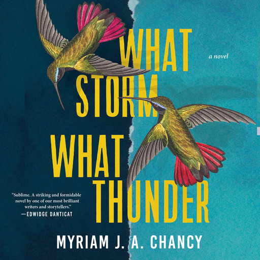 What Storm, What Thunder, Myriam J.A. Chancy