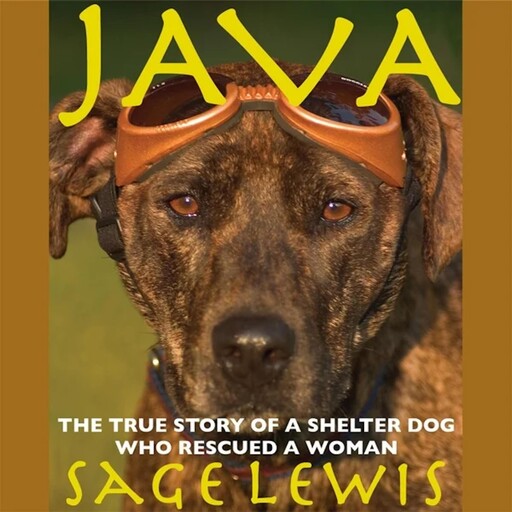 Java, Sage Lewis