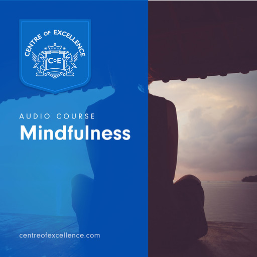 Mindfulness, Centre of Excellence