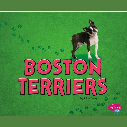Boston Terriers, Allan Morey