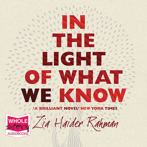 In the Light of What We Know, Zia Haider Rahman