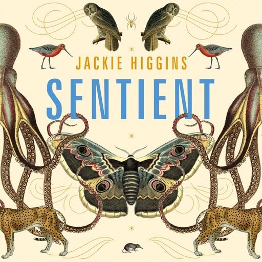 Sentient, Jackie Higgins