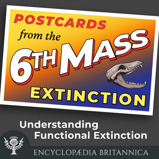 Understanding Functional Extinction, John Rafferty