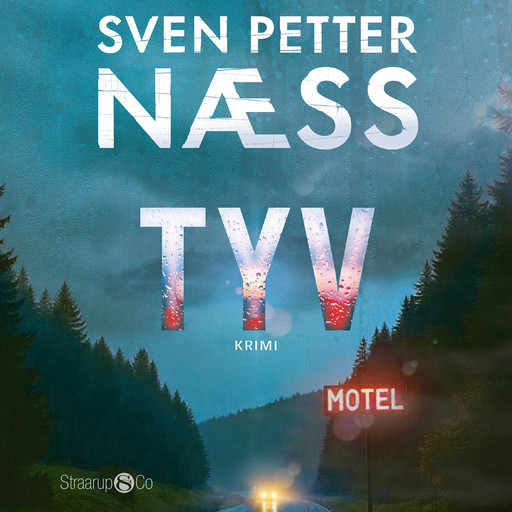 Tyv, Sven Petter Næss