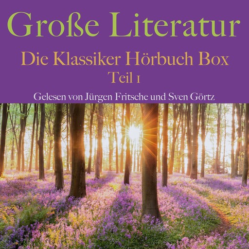 Große Literatur: Die Klassiker Hörbuch Box, Theodor Storm, E.T.A.Hoffmann, Edgar Allan Poe