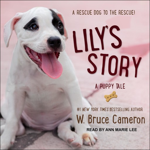 Lily's Story, W.Bruce Cameron