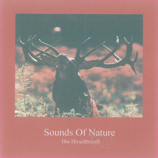 Sounds of Nature - Die Hirschbrunft, Thomas Kommer, Gerhard Lischka