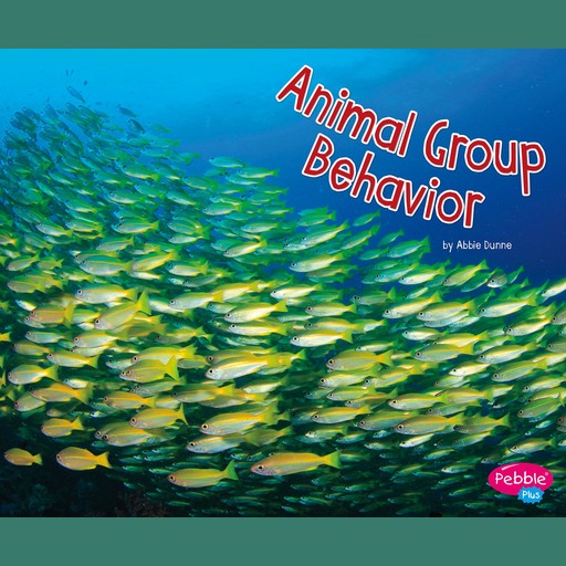 Animal Group Behavior, Abbie Dunne