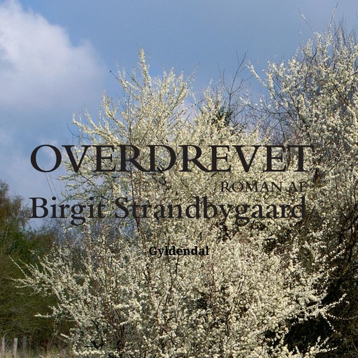 Overdrevet, Birgit Strandbygaard