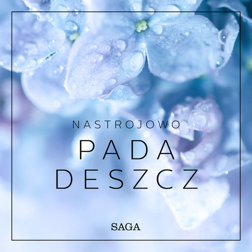 Nastrojowo - Pada deszcz, Rasmus Broe