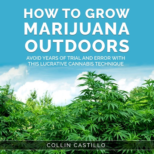 How to Grow Marijuana Outdoors, Collin Castillo
