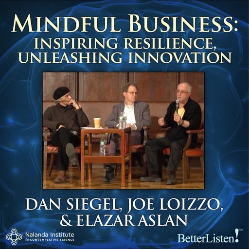 Mindful Business, Dan Siegel, Joe Loizzo