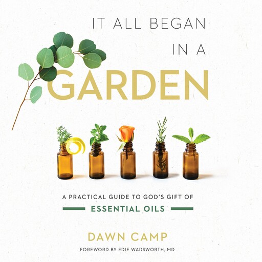It All Began in a Garden, Dawn Camp