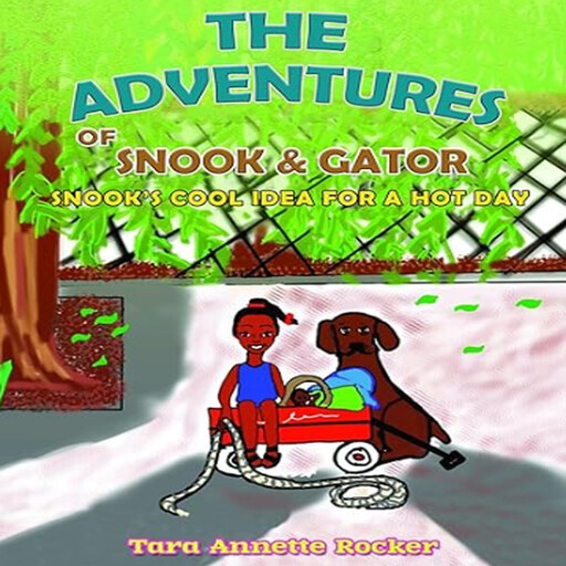 The Adventures of Snook and Gator: Snook’S Cool Idea for a Hot Day, Tara Annette Rocker