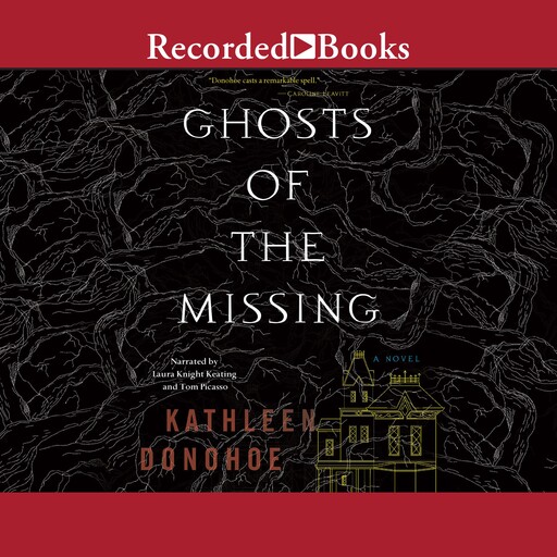 Ghosts of the Missing, Kathleen Donohoe