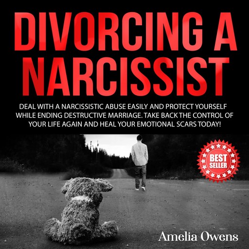 DIVORCING A NARCISSIST, Amelia Owens