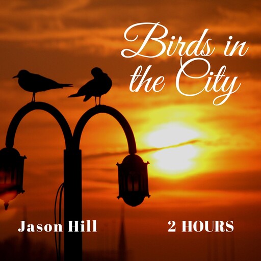 Birds in the City, Jason Hill