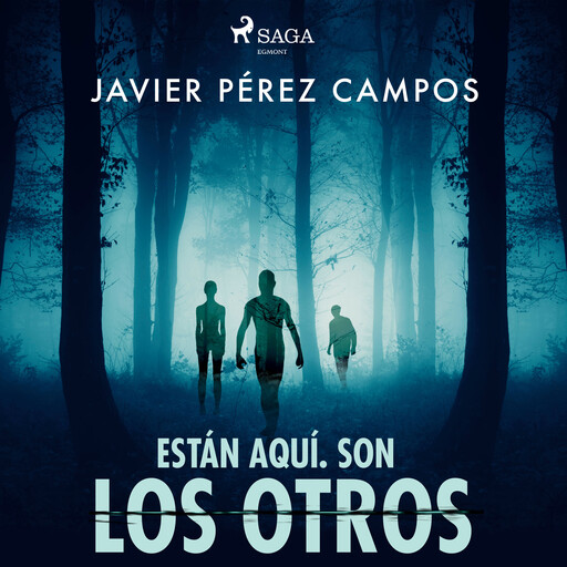 Están aquí. Son los otros, Javier Pérez Campos