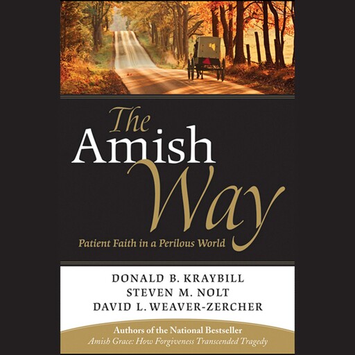 The Amish Way, David L.Weaver-Zercher, Donald B.Kraybill, Steven M.Nolt