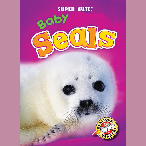 Baby Seals, Christina Leaf
