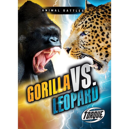 Gorilla vs. Leopard, Nathan Sommer