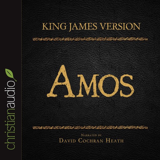 The Holy Bible in Audio - King James Version: Amos, God