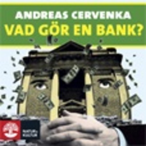 Vad gör en bank?, Andreas Cervenka