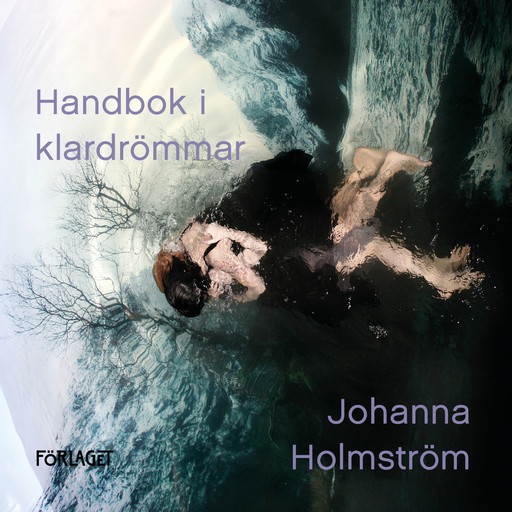 Handbok i klardrömmar, Johanna Holmström