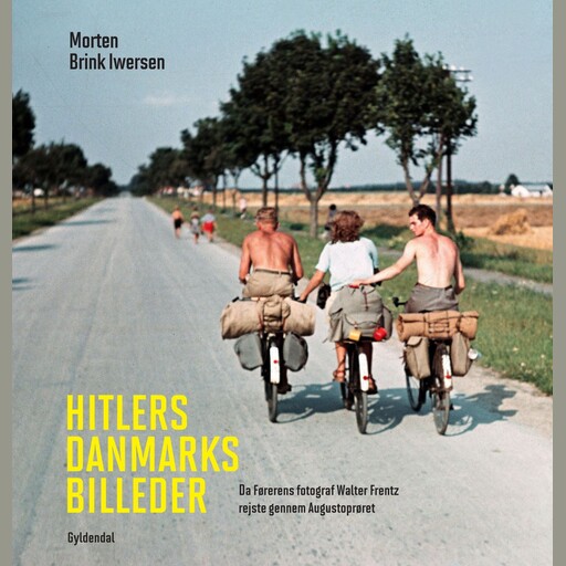 Hitlers Danmarksbilleder, Morten Brink Iwersen