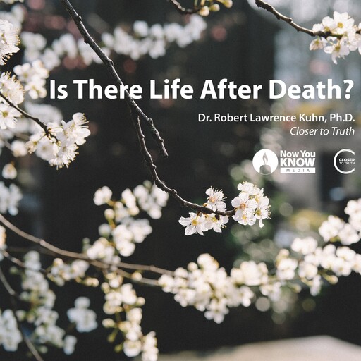 Is There Life After Death?, Robert Lawrence Kuhn