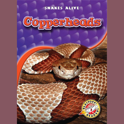 Copperheads, Colleen Sexton