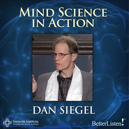 Mind Science In Action, Dan Siegel