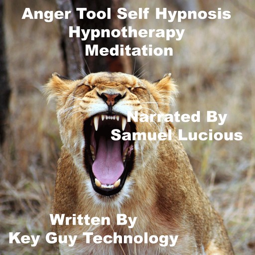 Anger Tool Self Hypnosis Hypnotherapy Meditation, Key Guy Technology