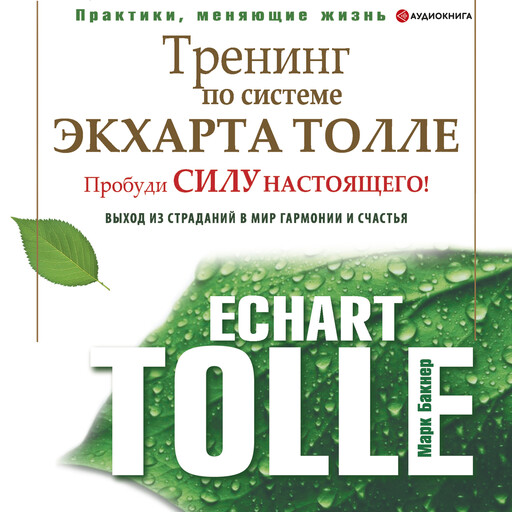 Тренинг по системе Экхарта Толле, Марк Бакнер